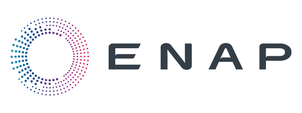 png-file-size-example-for-logos-enap