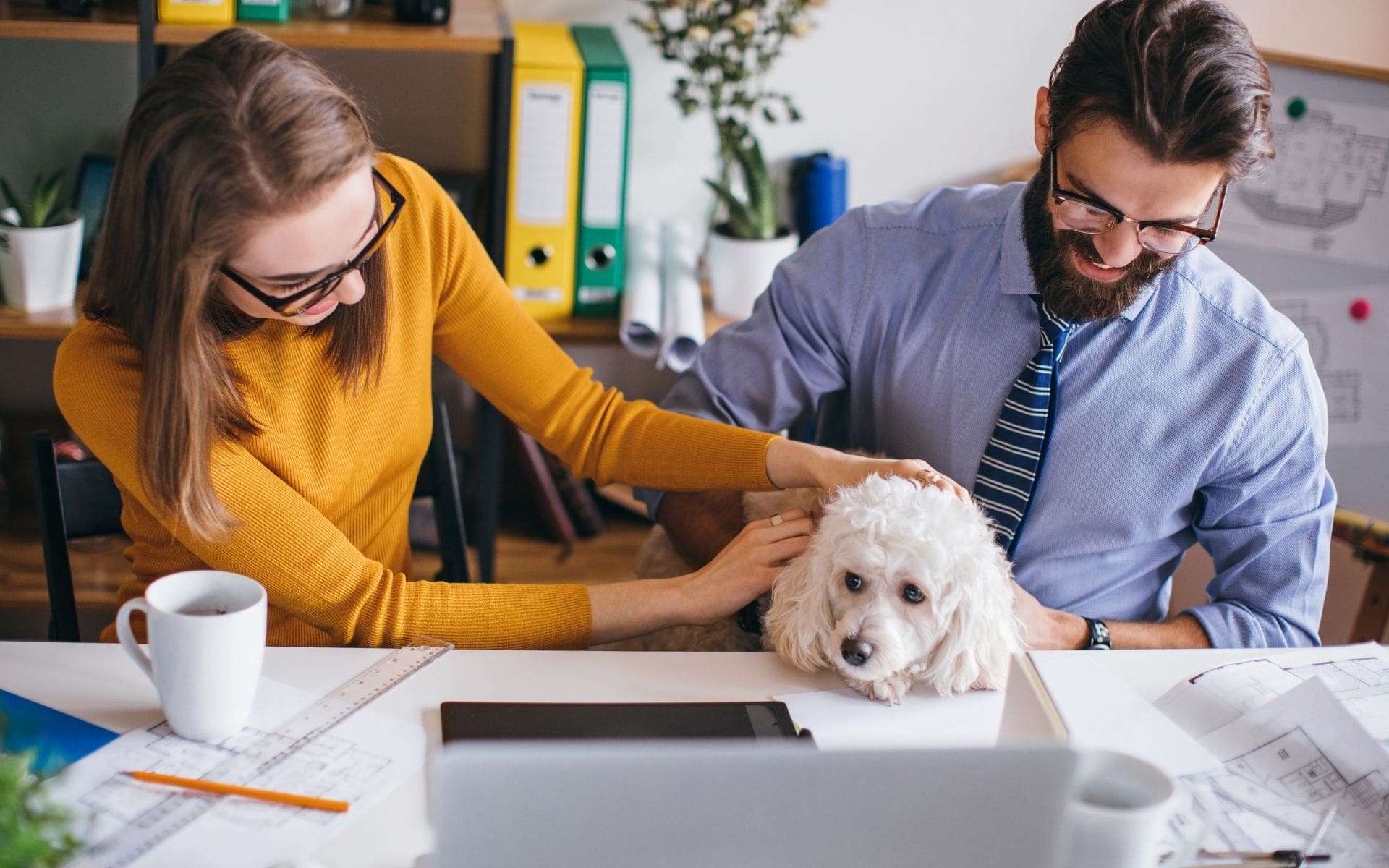 Oficinas Pet-Friendly